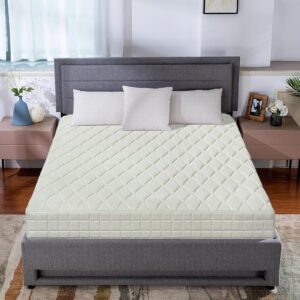 Zippered Adjustable ParamountDreams Cotton Mattress Encasement